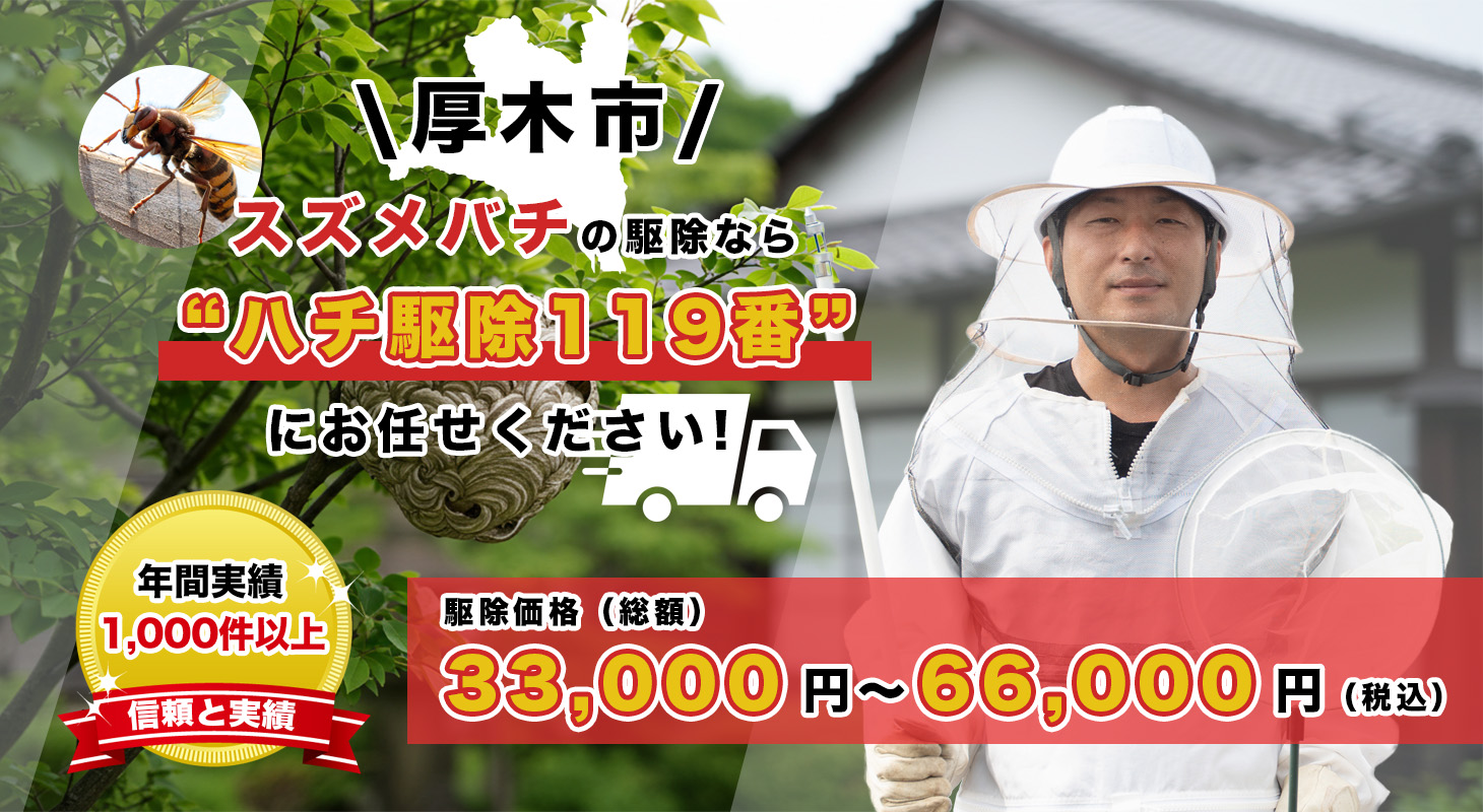 厚木市（神奈川）でスズメバチ駆除を依頼するならハチ駆除119番