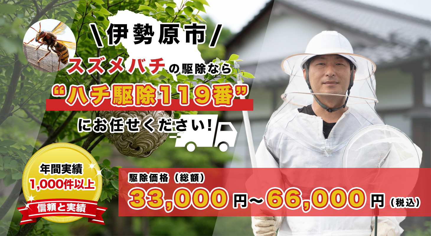 伊勢原市（神奈川）でスズメバチ駆除を依頼するならハチ駆除119番