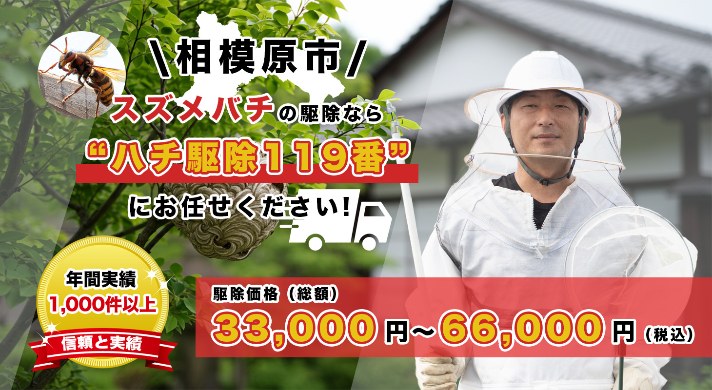 相模原市（神奈川）でスズメバチ駆除を依頼するならハチ駆除119番