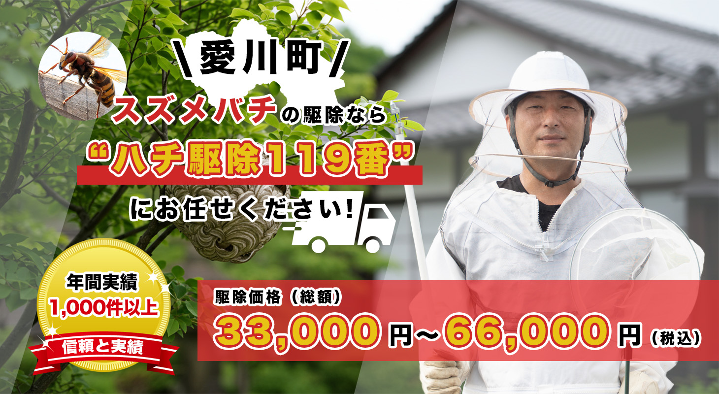 愛川町（神奈川）でスズメバチ駆除を依頼するならハチ駆除119番