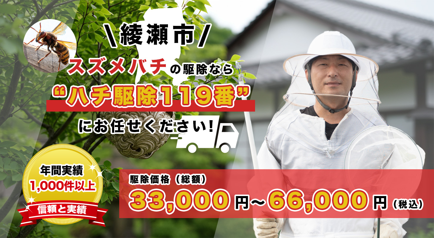 綾瀬市（神奈川）でスズメバチ駆除を依頼するならハチ駆除119番
