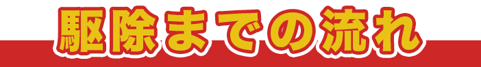 ハチ駆除の流れ